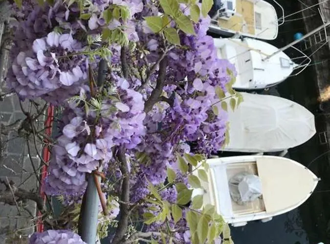 Casa Balcony Lejlighed